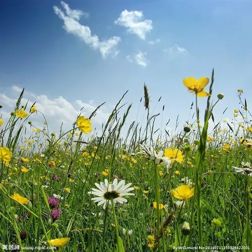 选择手机靓号的意义何在?为什么要拥有靓号?